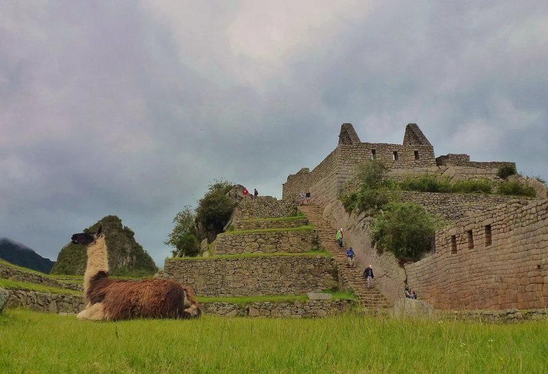 Machu Picchu