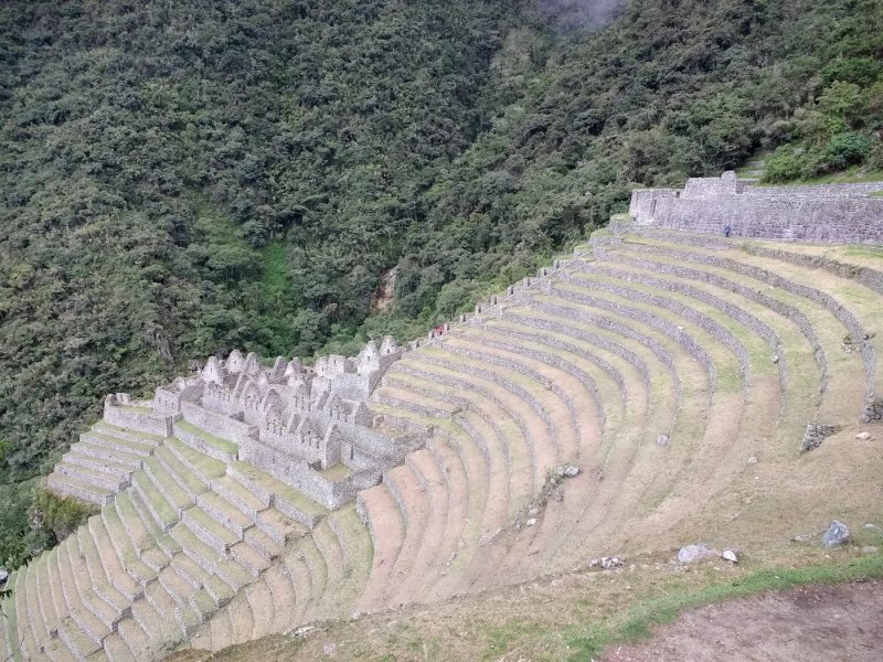 Hikers on the Inca Trail at Wiñay Wayna with terraces below